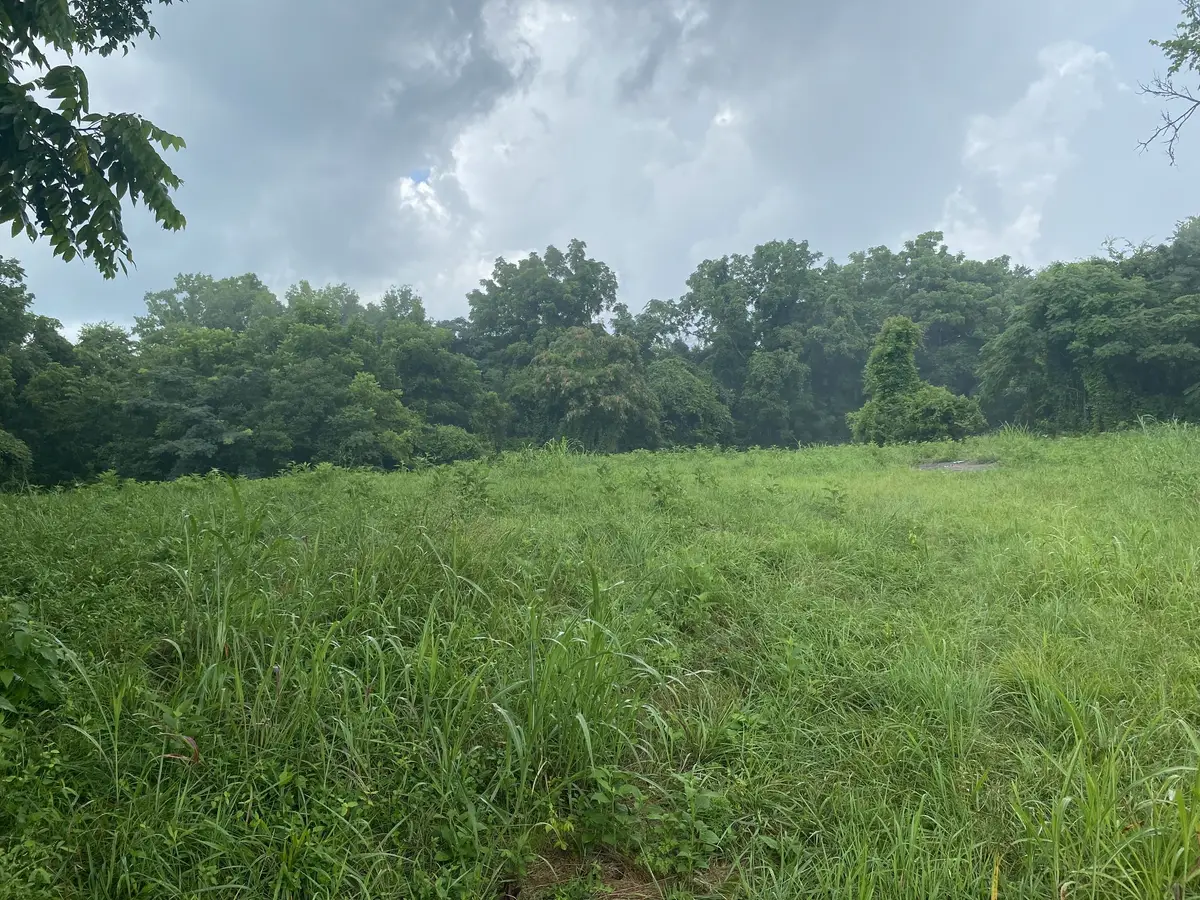 0 Johnson Road, Pulaski, TN 38478 - #1