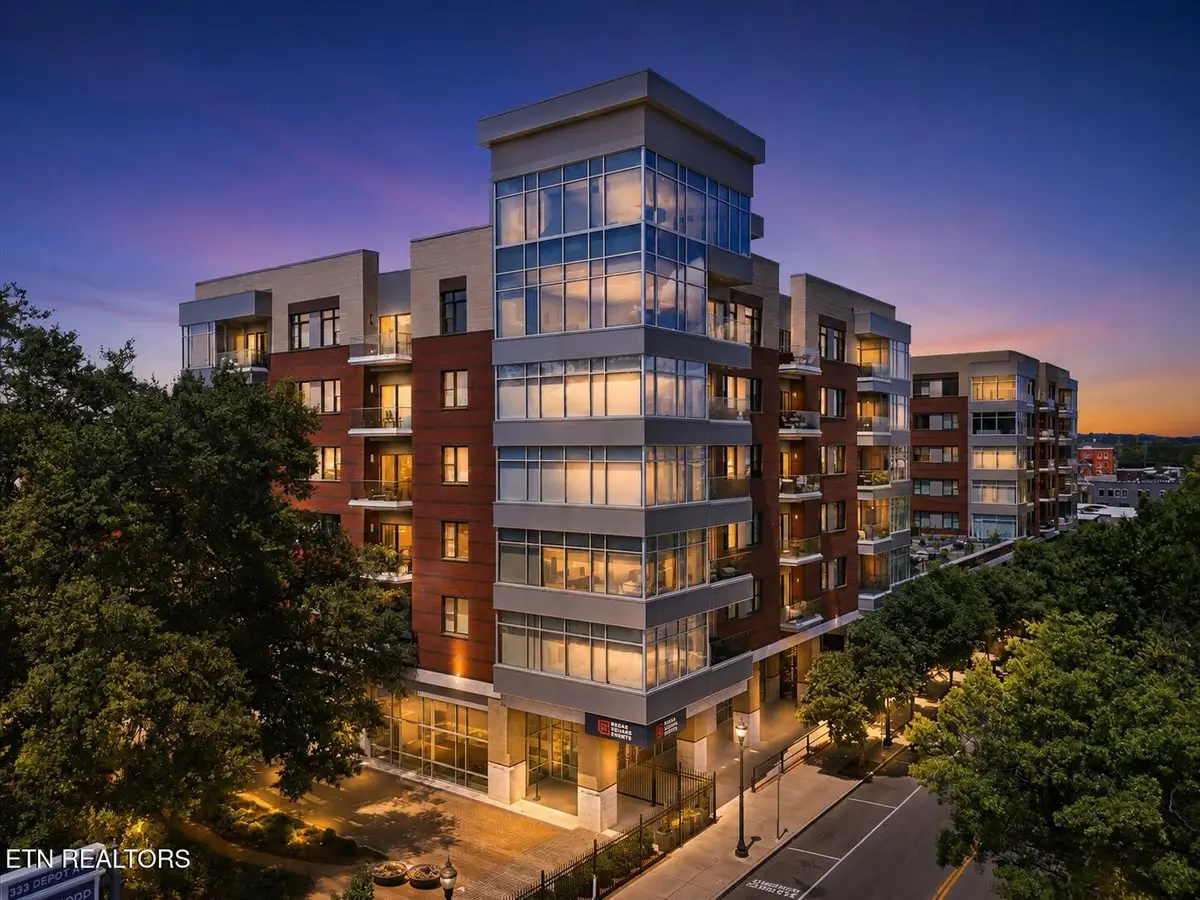 333 W Depot Ave #207, Knoxville, TN 37917 - #1