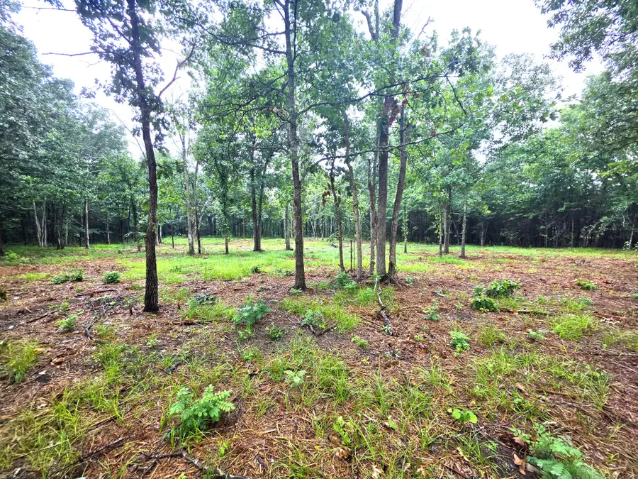 0 Couchville Pike, Mount Juliet, TN 37122 - #3