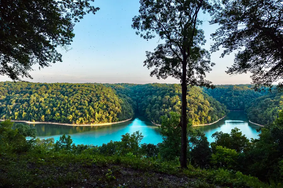 490 January Pl, Smithville, TN 37166 - #3