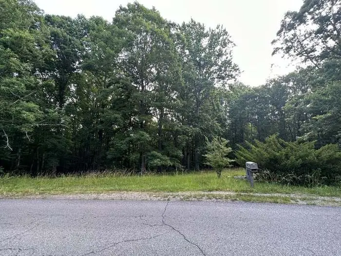 1251 Mount Pleasant Rd, Kingston Springs, TN 37082 - #1