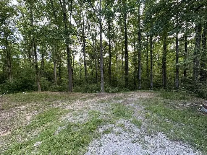 1251 Mount Pleasant Rd, Kingston Springs, TN 37082 - #3