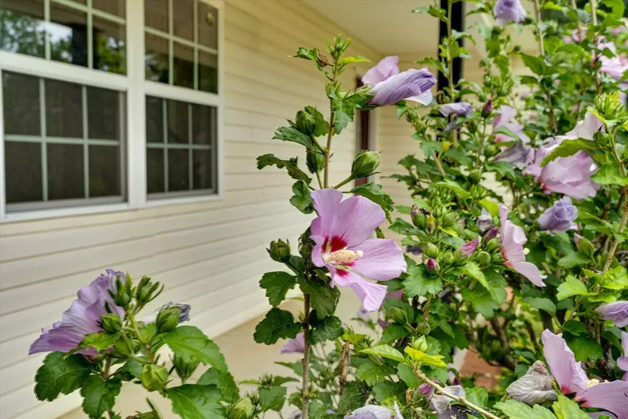 160 Monza Lane Nw, Cleveland, TN 37312 - #3