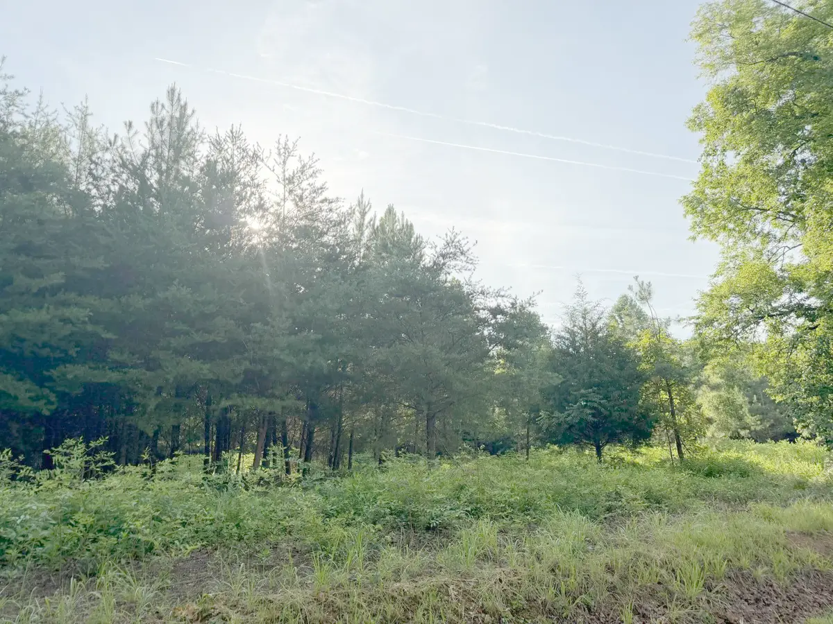 0 Black Oak Road, Sale Creek, TN 37373 - #1