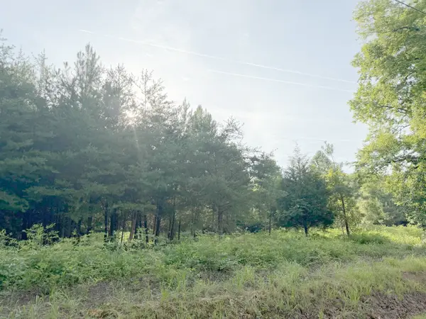 0 Black Oak Road, Sale Creek, TN 37373