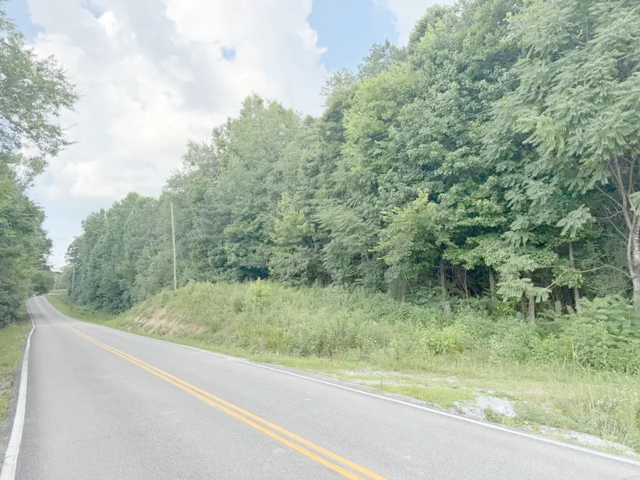 0 Andy Thomas Road, Sale Creek, TN 37373 - #3