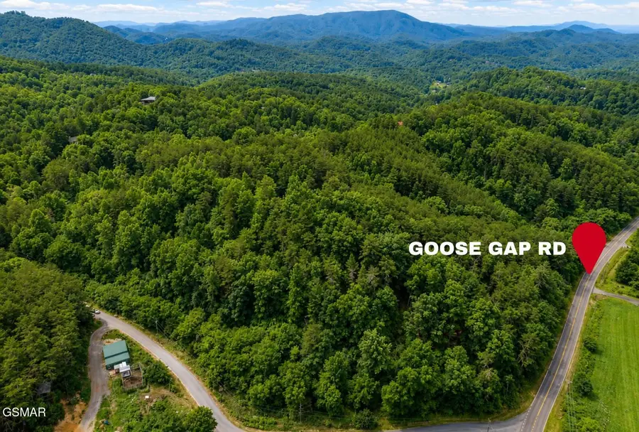 2131 Goose Gap Road, Sevierville, TN 37876 - #3