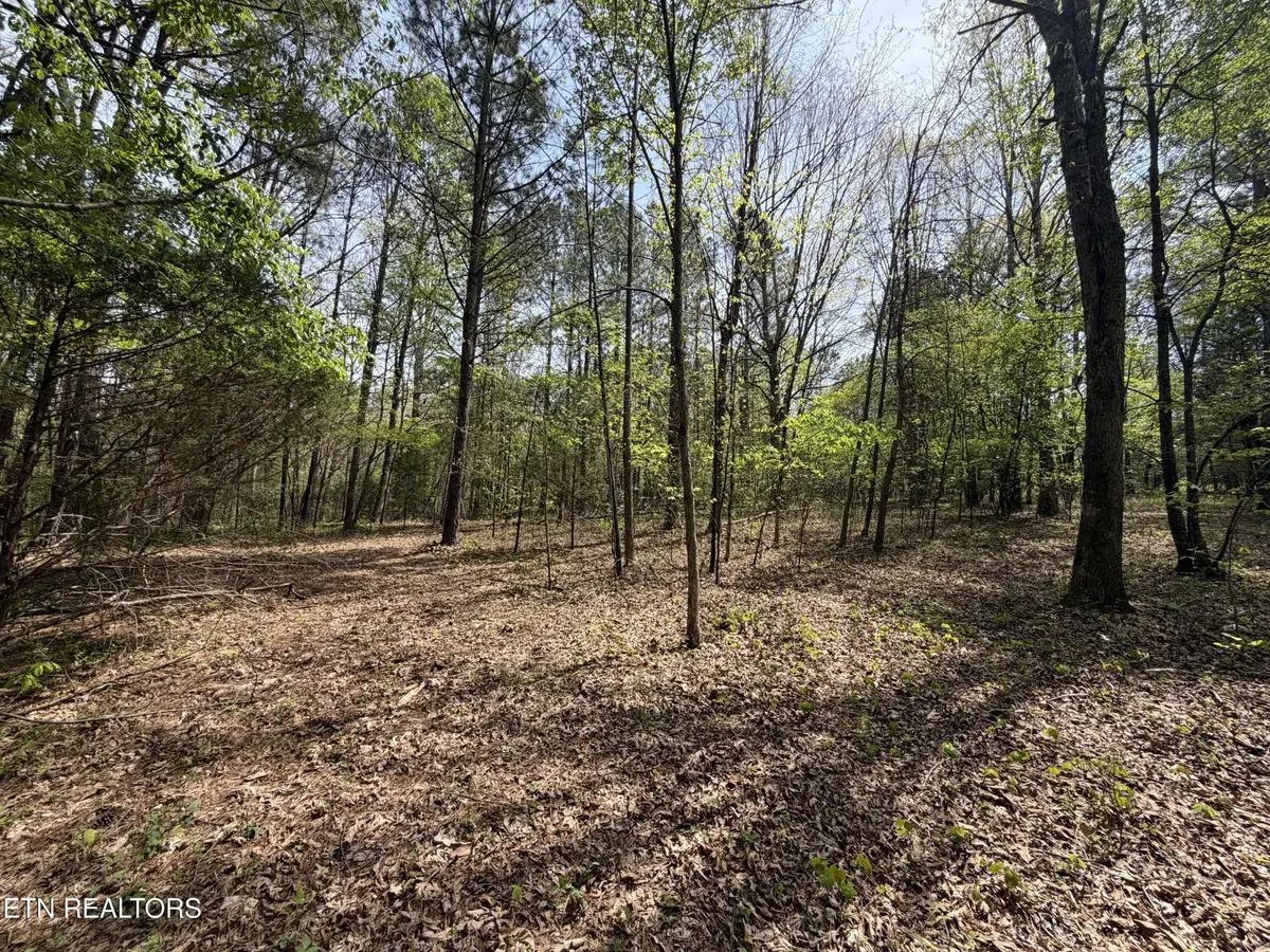 7836 Dry Valley Road, Loudon, TN 37774 - #1