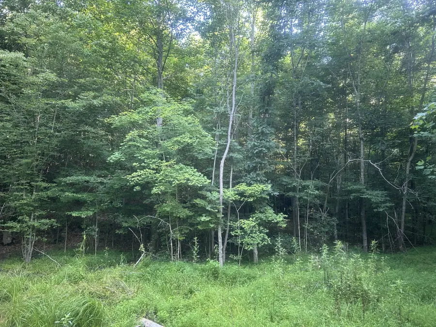 2853 Old Natchez Trace Trail, Camden, TN 38320 - #3