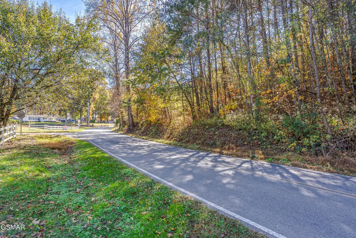 21 Green Hill Road, Dandridge, TN 37725 - #1