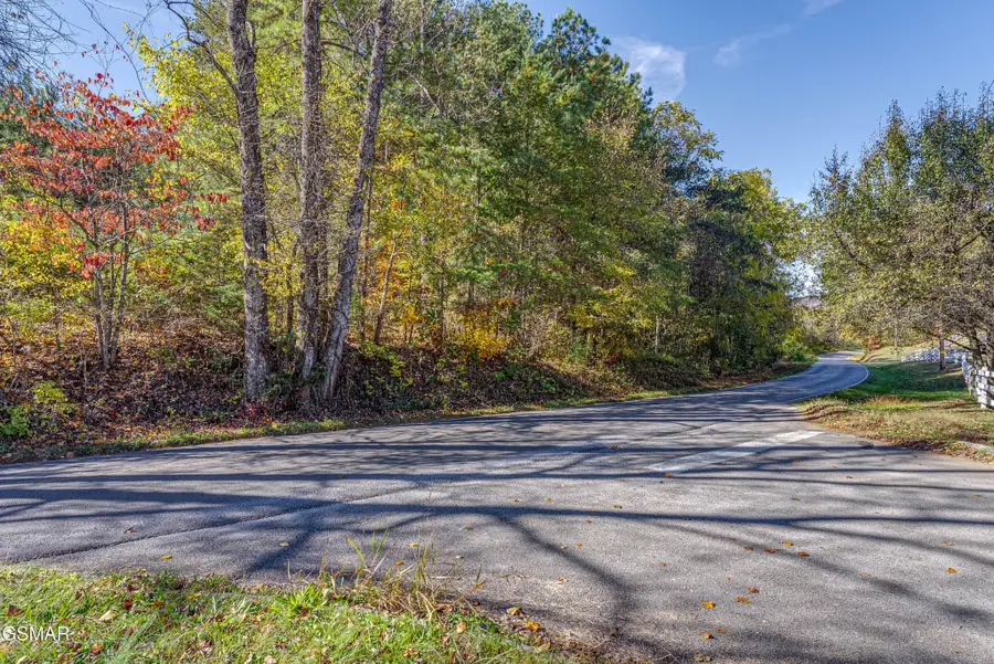 21 Green Hill Road, Dandridge, TN 37725 - #2