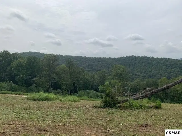 11 Mountain Way, Sharps Chapel, TN 37866 - #3
