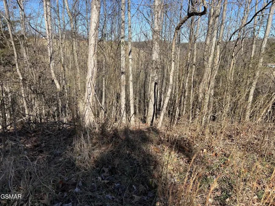 2 Baldwin View Drive, New Market, TN 37820 - #3