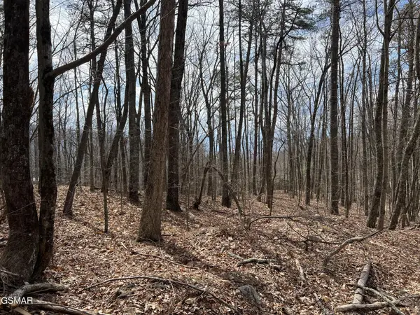 12 Swann Saddle Lane, Sevierville, TN 37876