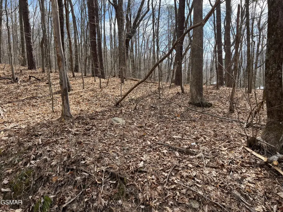 12 Swann Saddle Lane, Sevierville, TN 37876 - #3