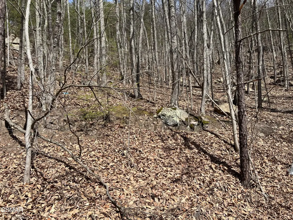 18 Clingmans View, Sevierville, TN 37876 - #1