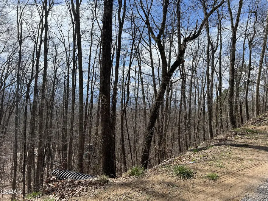18 Clingmans View, Sevierville, TN 37876 - #3