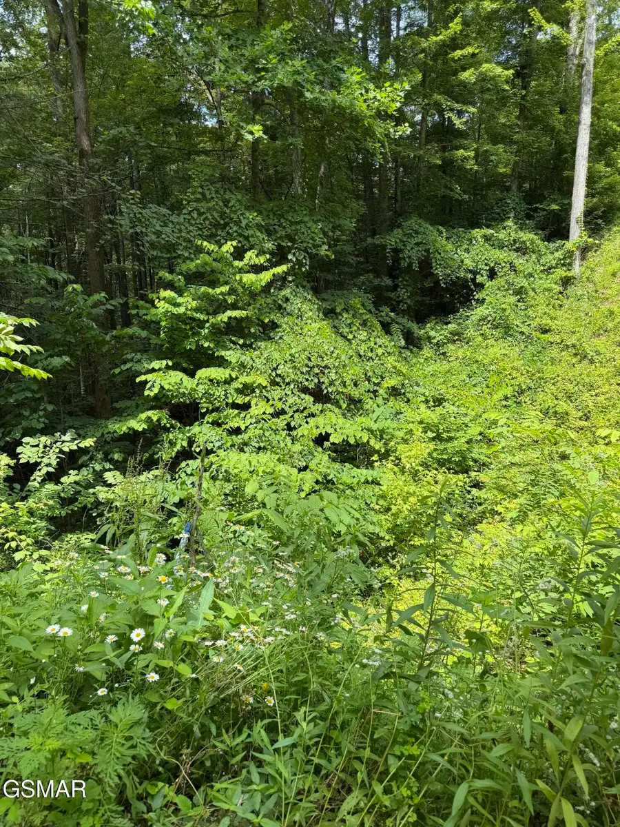 56 Butternut Lane, Sevierville, TN 37876 - #2