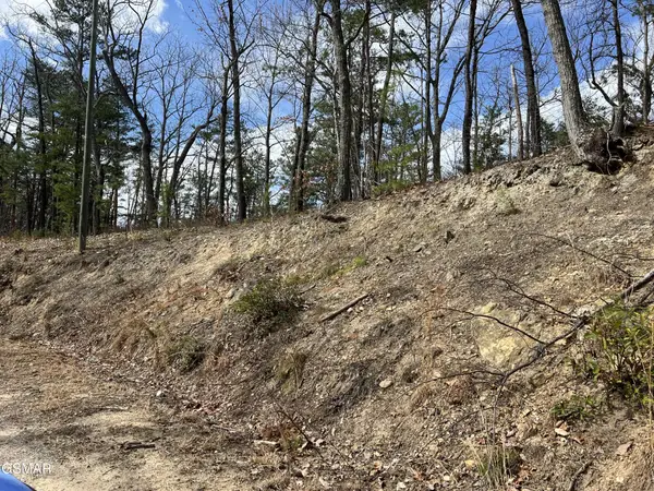 1011 Chestnut Ridge Court, Sevierville, TN 37876