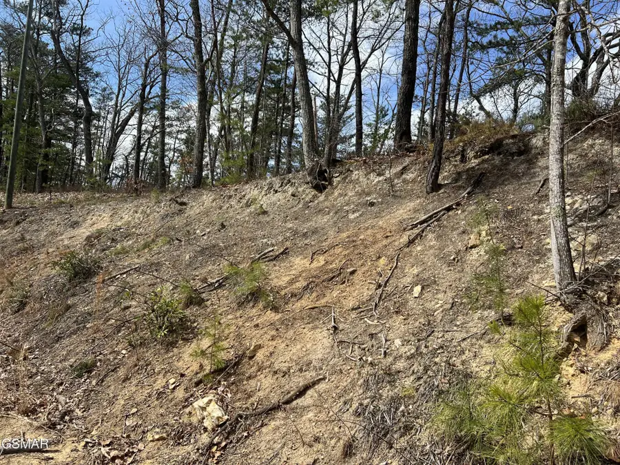 1011 Chestnut Ridge Court, Sevierville, TN 37876 - #2
