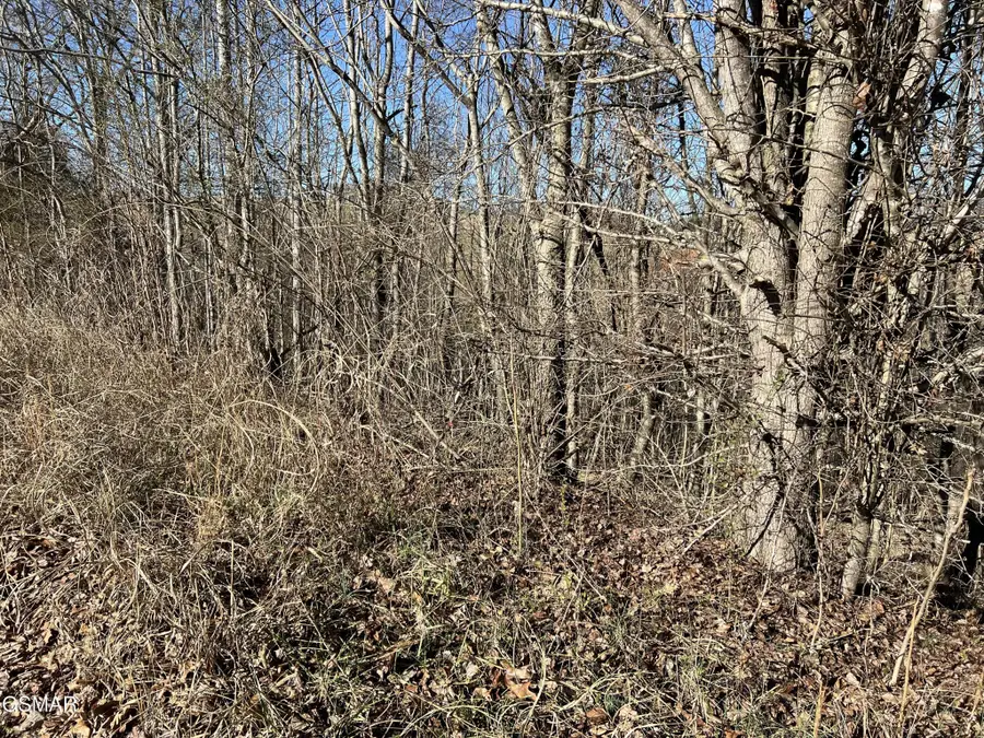 3 Baldwin View Drive, New Market, TN 37820 - #2