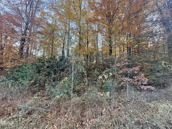 4243 Deerfoot Road, Newport, TN 37821