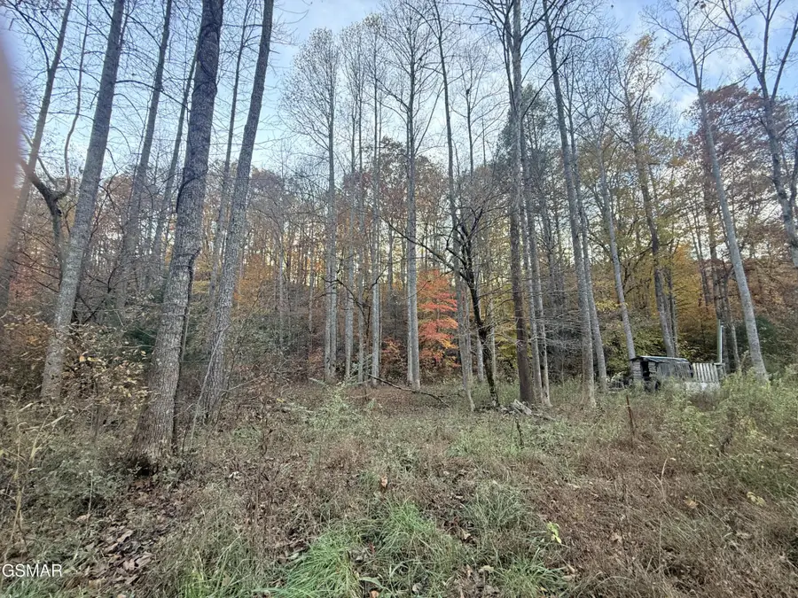 4243 Deerfoot Road, Newport, TN 37821 - #3