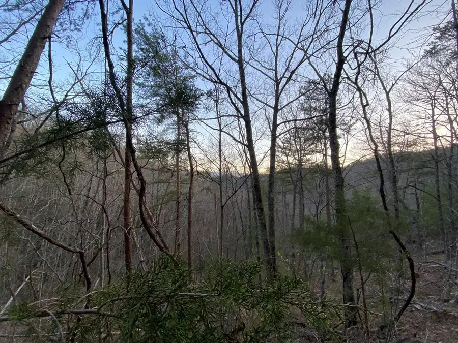 46 Beechwood Street, Sevierville, TN 37876 - #2