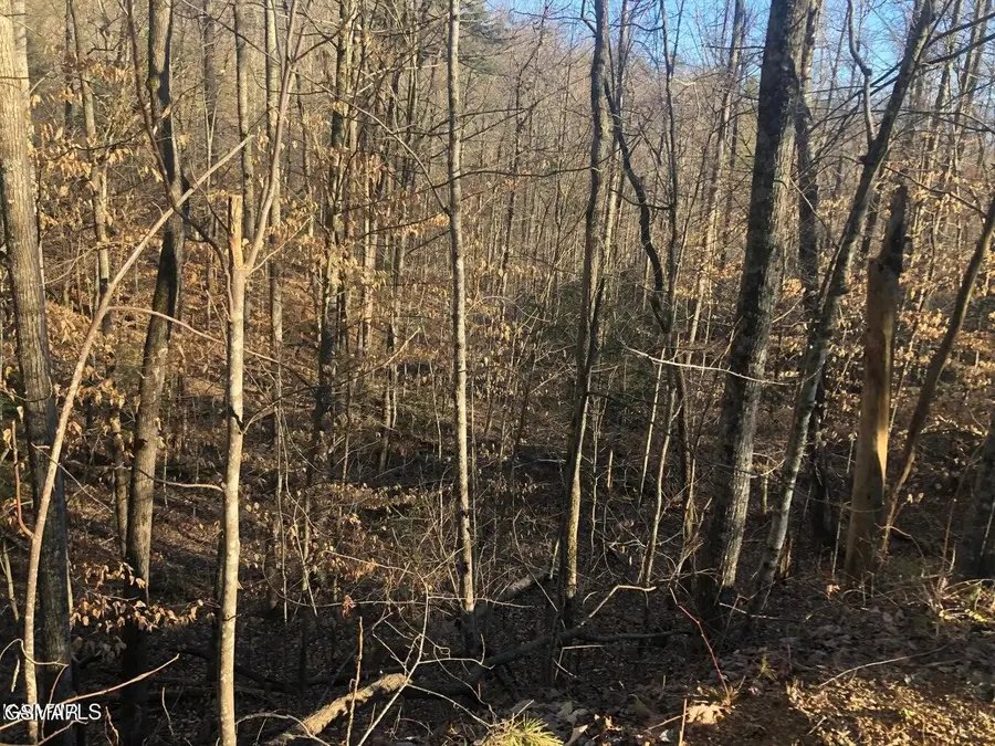 68 Yellowwood Drive, Sevierville, TN 37876 - #2