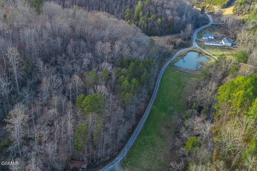 5 Lamplighter Way, Newport, TN 37821 - #2