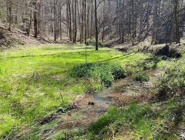 0 Valley Springs Way, Sevierville, TN 37862