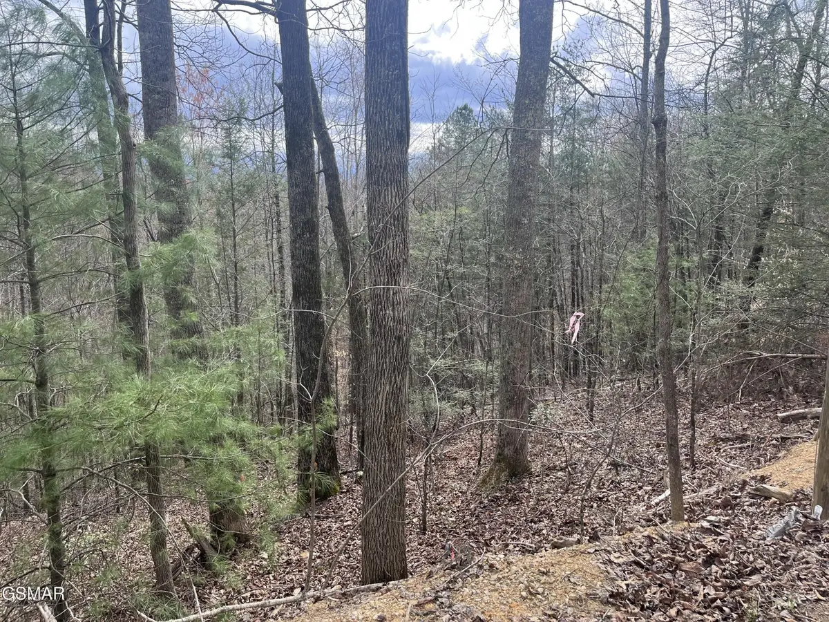 5554 71 Yellowwood Drive, Sevierville, TN 37876 - #1