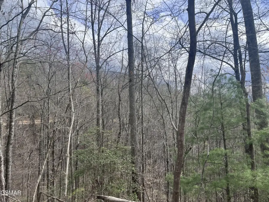 5554 71 Yellowwood Drive, Sevierville, TN 37876 - #2