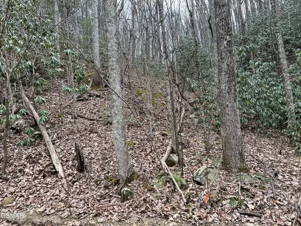 10 John Sevier Drive, Sevierville, TN 37876