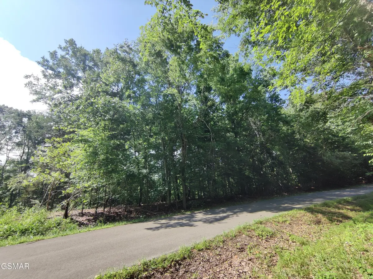 3347 Mountain View Lane, Baneberry, TN 37890 - #1