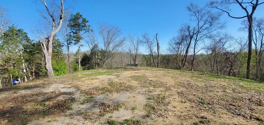 331 Chestnut Ridge, Walland, TN 37886 - #1