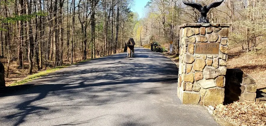 331 Chestnut Ridge, Walland, TN 37886 - #3
