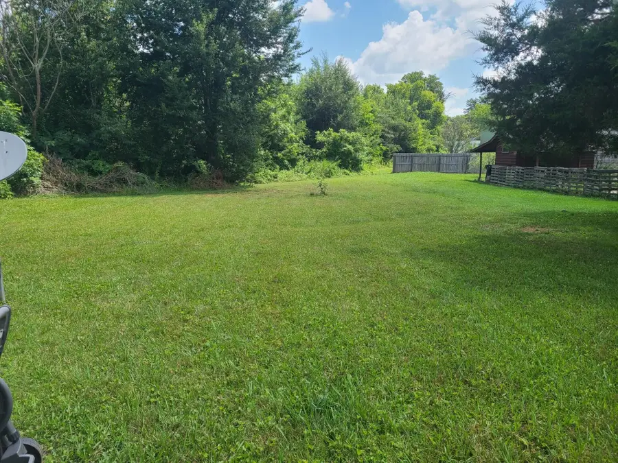 9 Johnson Street, Niota, TN 37826 - #3
