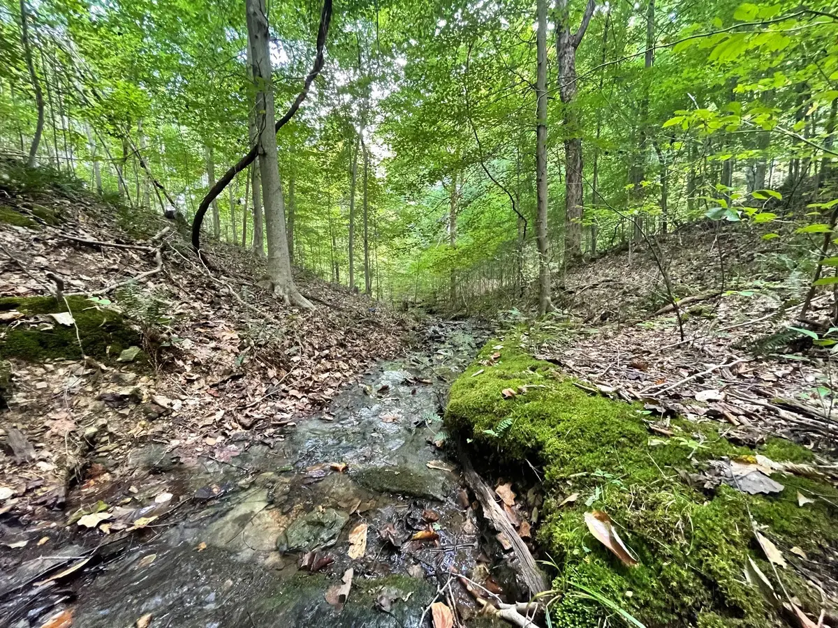 0 Mcclanahan Rd, Hampshire, TN 38461 - #1