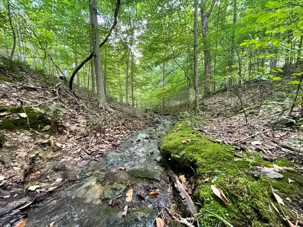 0 Mcclanahan Rd, Hampshire, TN 38461