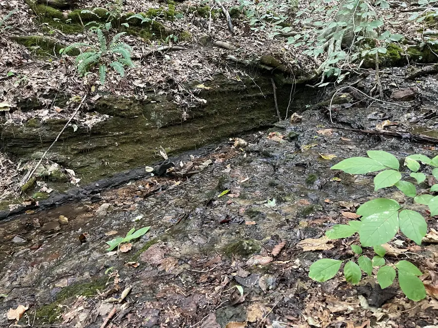 0 Mcclanahan Rd, Hampshire, TN 38461 - #3