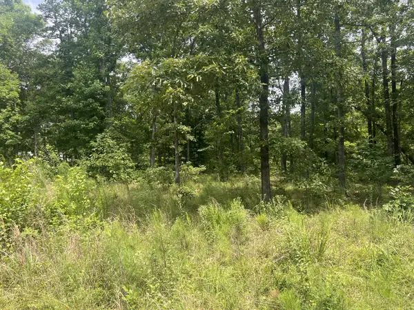 1 Lakeview Drive, Linden, TN 37096