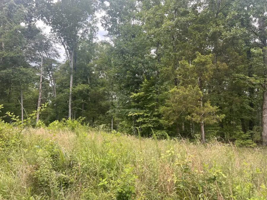 16 Lake View Drive, Linden, TN 37096 - #2