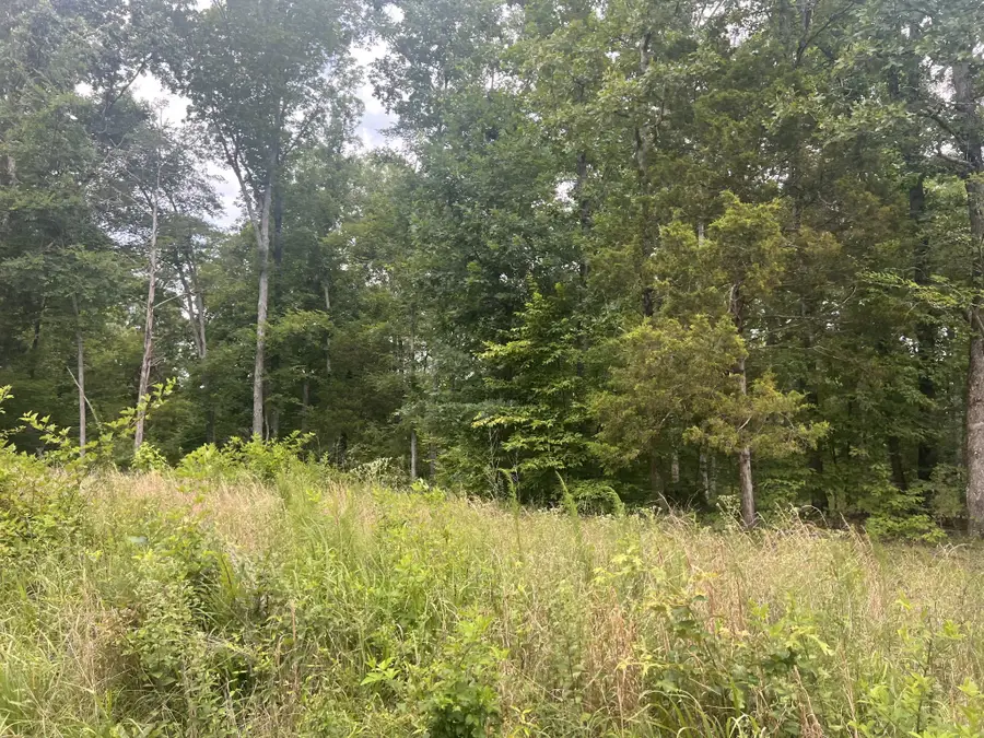 4 Lake View Drive, Linden, TN 37096 - #2