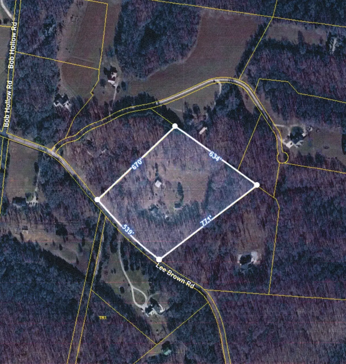1337 Lee Brown Road, Bon Aqua, TN 37025 - #1