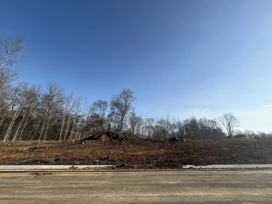 537 Divine Court, Arrington, TN 37014 - #2