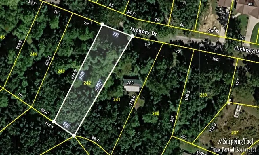 242 Hickory Drive, Spring City, TN 37381 - #3
