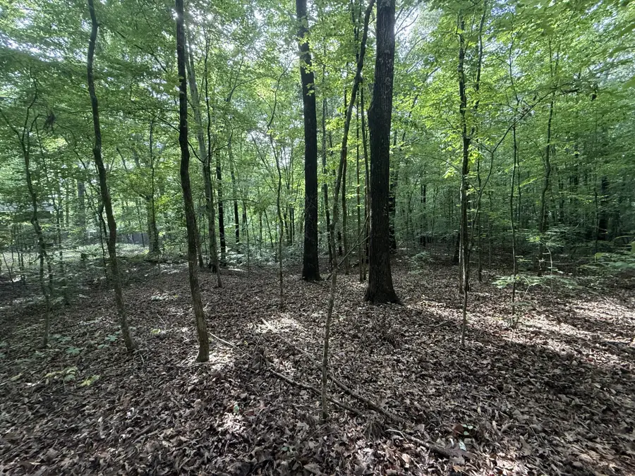 0 Caney Creek Rd, Stewart, TN 37175 - #2