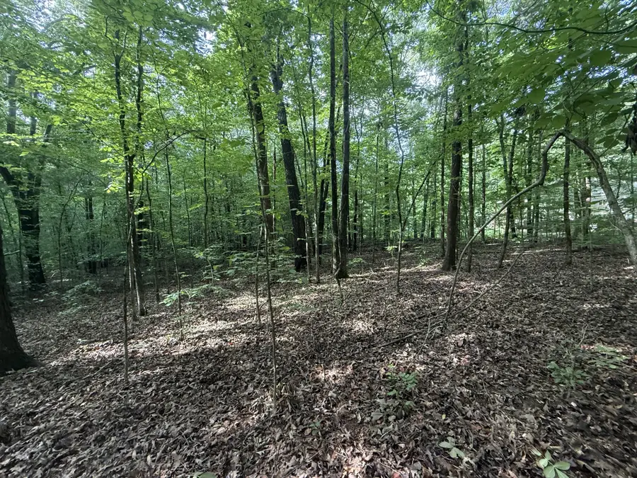 0 Caney Creek Rd, Stewart, TN 37175 - #3