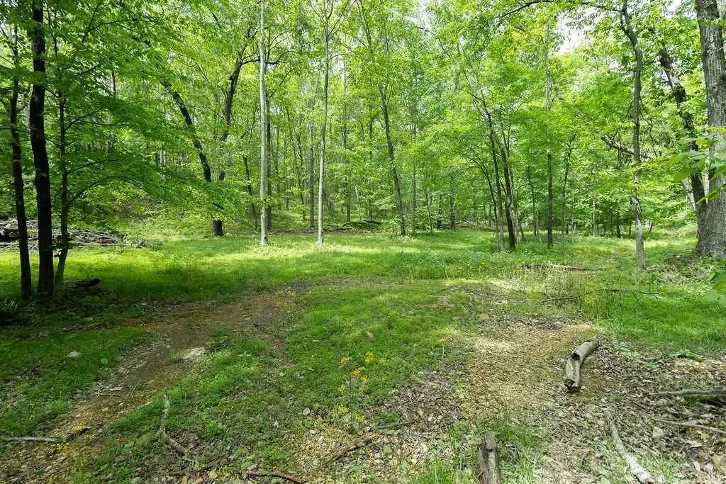 0 Billy Wynn Rd, Dickson, TN 37055 - #1